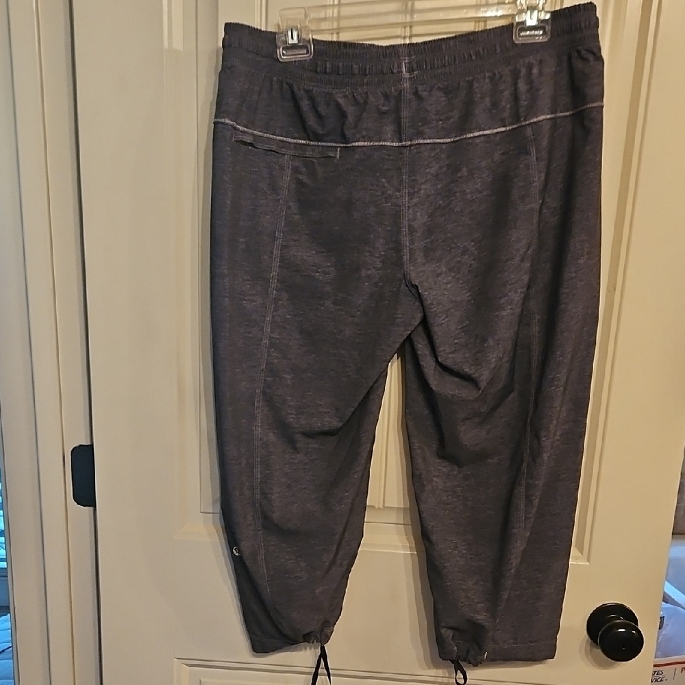 Lululemon Drawstring Nylon Pants - image 2